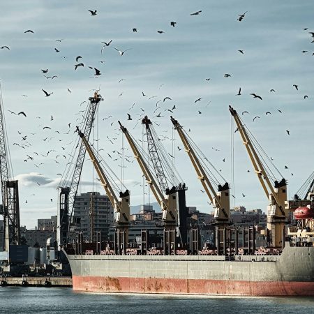 Cargo ship surrounded by birds in front of urban landscape
