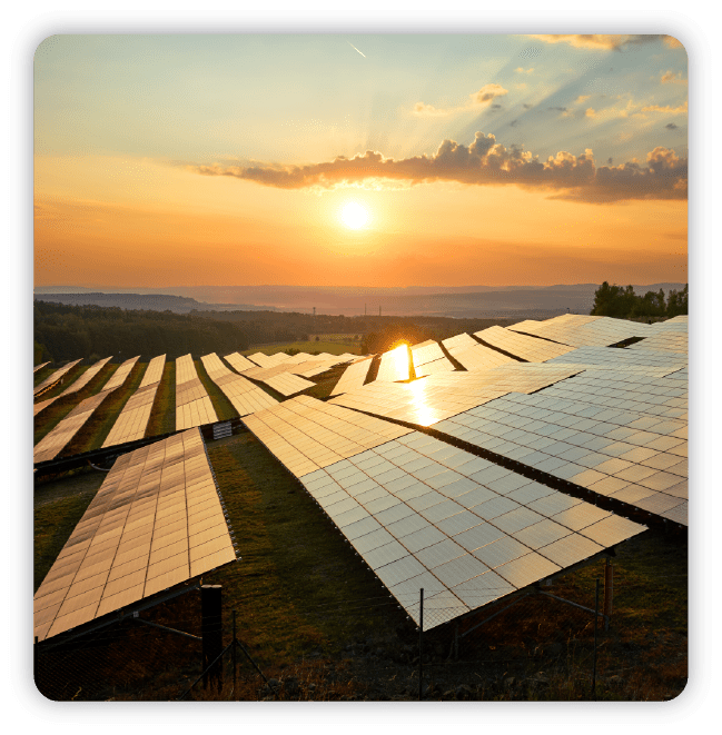 Sunrise over rows of silver solar panels