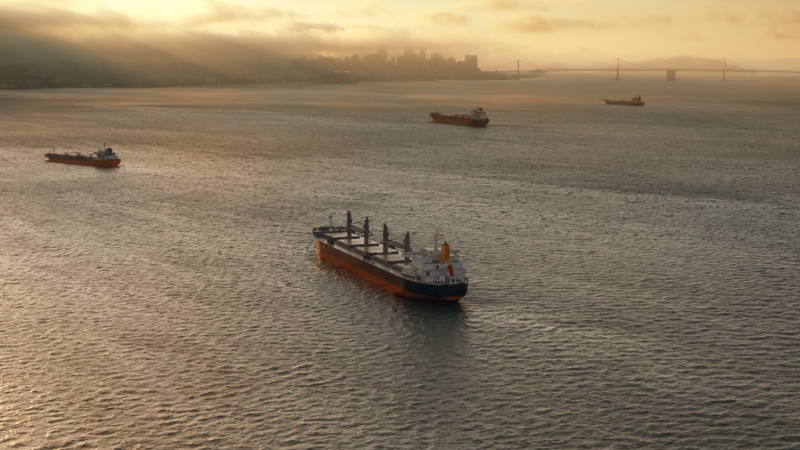 Aerial view of large cargo ships approaching San Francisco Bay at sunset in California, USA.
