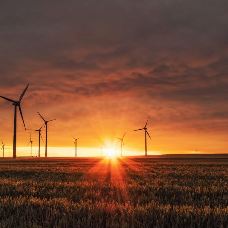 Wind turbines in a field at sunset