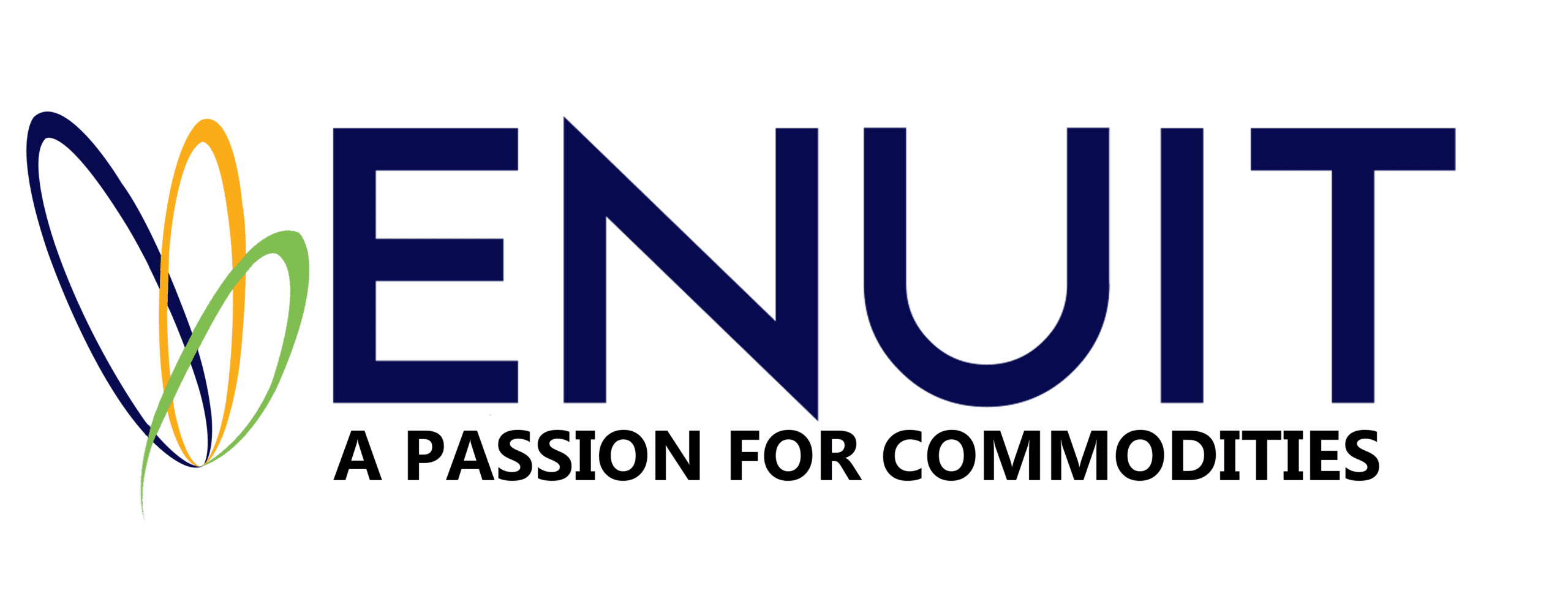 Enuit logo with multi-colored mark