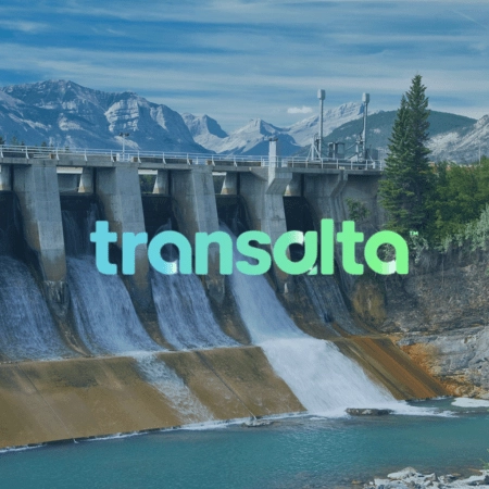 Transalta case study