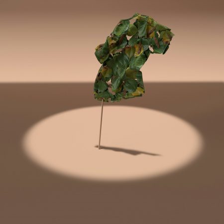 a small green object on a stick in the middle of a circle