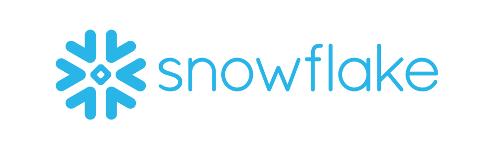 Snowflake logo with snowflake shaped mark in blue