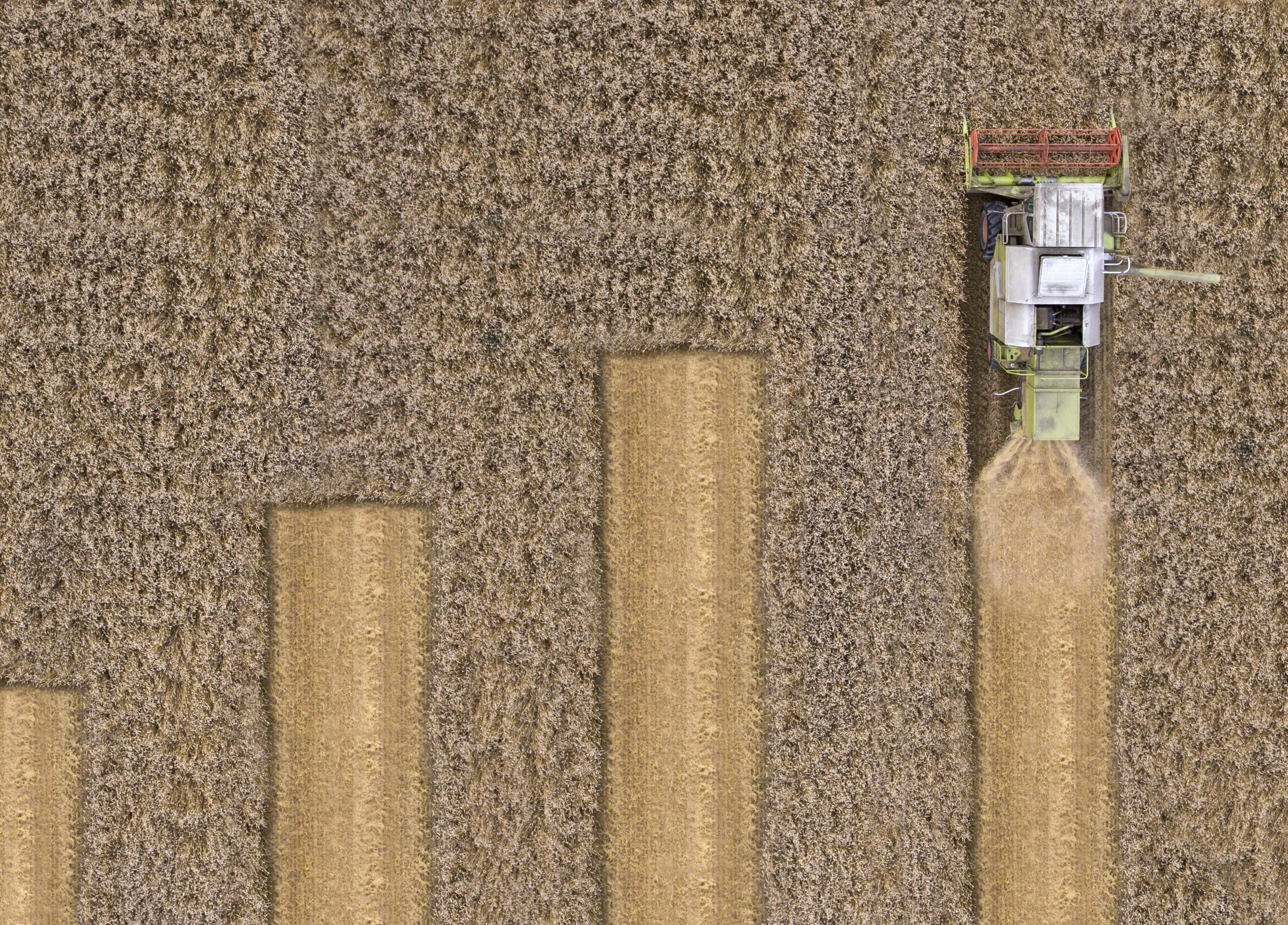 Combine harvester in a field used to illustrate a chart by showing four rows of varying links