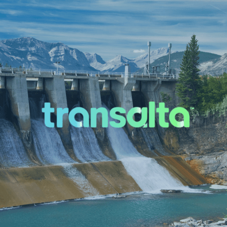 Transalta case study