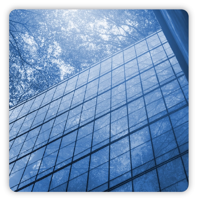 Glass building with reflection of trees and sunlight from the perspective of looking up