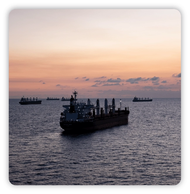 Five large ships in the ocean at sunset with one closer up and in full focus