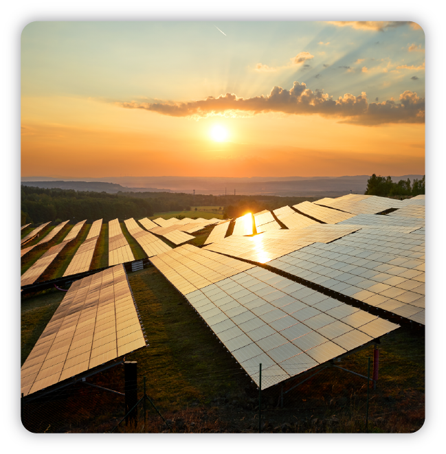Sunrise over rows of silver solar panels