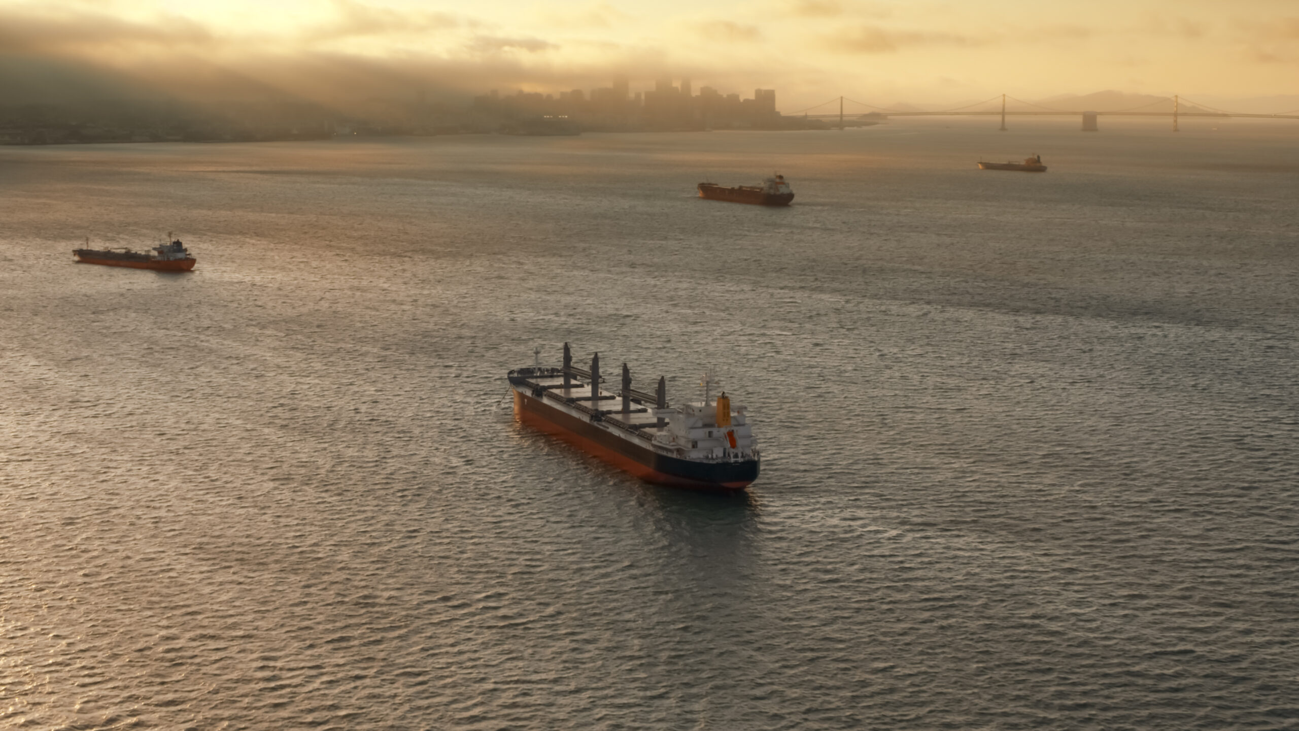 Aerial view of large cargo ships approaching San Francisco Bay at sunset in California, USA.