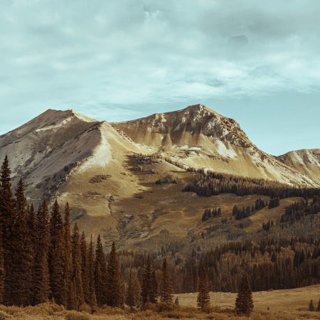 About banner | Mountain range and trees